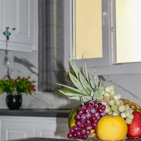 Aeolian Breeze 2 Apartment Tínos